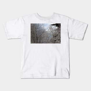 snowy  oregon forest 2 Kids T-Shirt